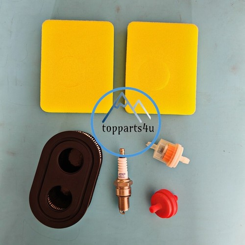 Air filter spark plug - air,